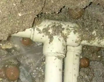 东湖测漏水多少钱