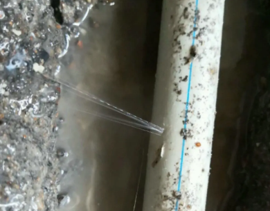 东湖测漏水哪家好