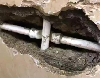 东湖测漏水哪家好